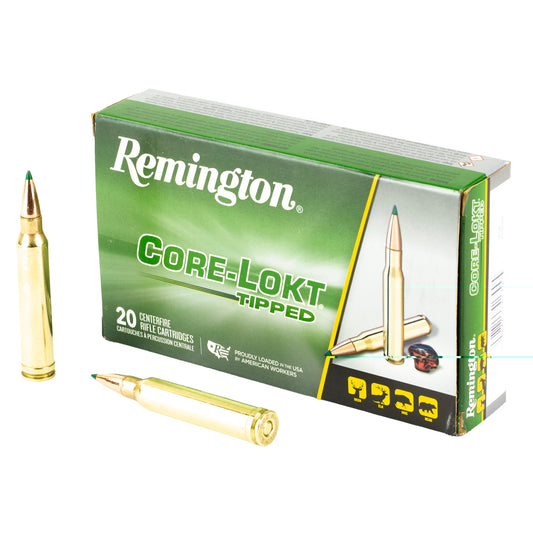 Rem 300 Win Mag 180gr Cl Tip 20/200